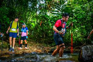 BIB: 
                            <button type="button" onclick="openModal(21769296)" class="btn btn-primary btn-sm float-right btn-popup" data-toggle="modal" data-target=".modal-high-quality">
                        <i class="fas fa-shopping-cart"></i> Add to Cart
                    </button>
                                            <button type="button" onclick="isThisMe(21769296, true)" class="btn btn-success btn-sm float-right btn-popup btn-isme hidden" data-toggle="tooltip" data-placement="bottom" title="นี่คือรูปของคุณใช่ไหม คลิกที่นี่เพื่อเอาเข้าอัลบั้ม">
                        <i class="fas fa-plus"></i> Add to album
                    </button>
                    <button type="button" onclick="isThisMe(21769296, false)" class="btn btn-warning btn-sm float-right btn-popup btn-isnotme hidden">
                        <i class="fas fa-ban"></i> Remove from album
                    </button>